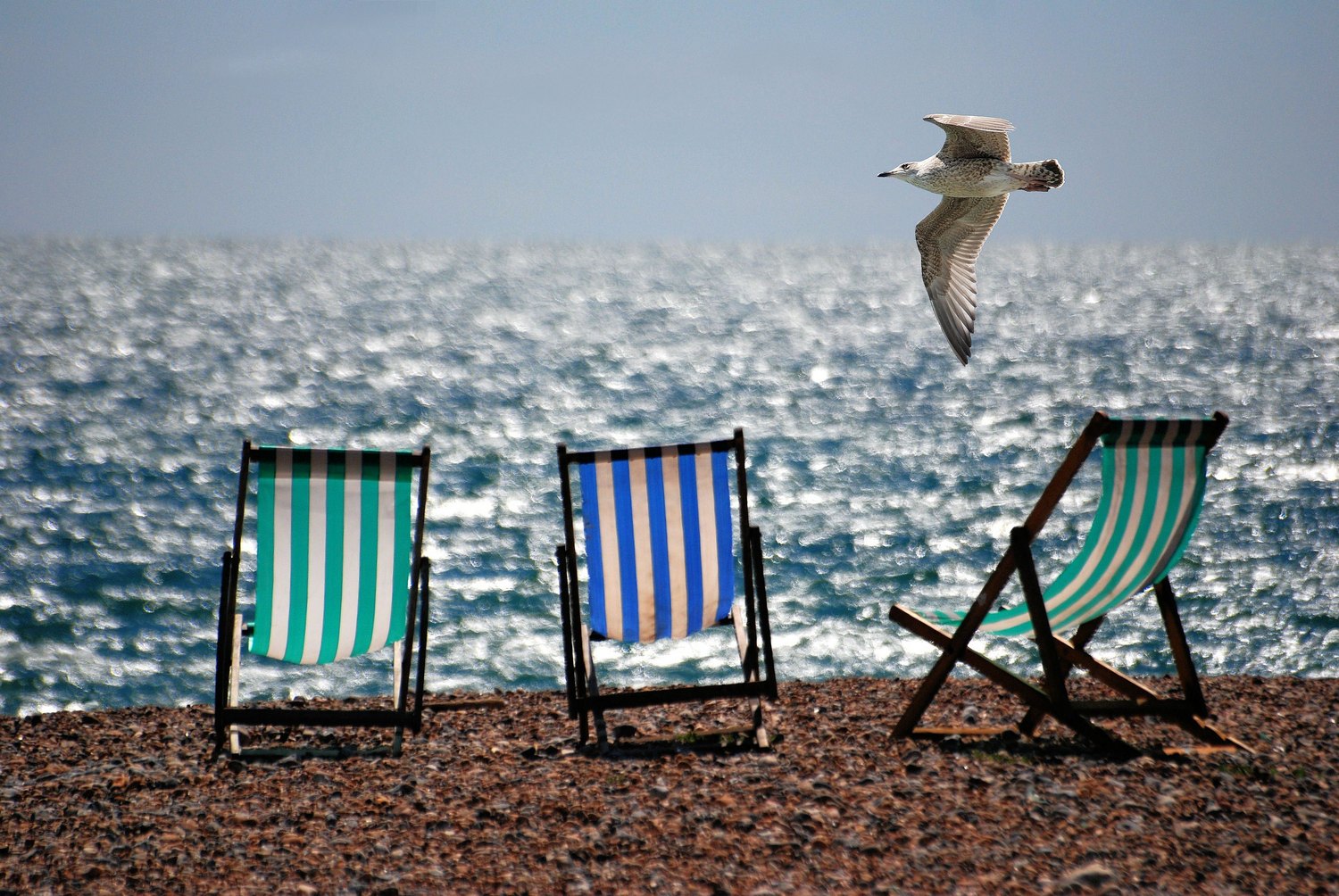 Wygodne i lekkie leżaki na plażę